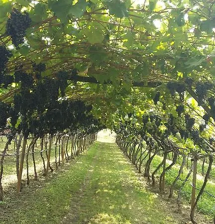 Brandlgut בית הארחה