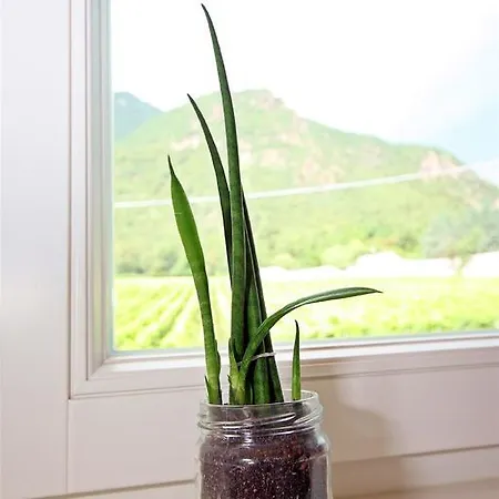 Brandlgut בית הארחה