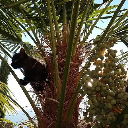 Brandlgut בית הארחה בולצאנו